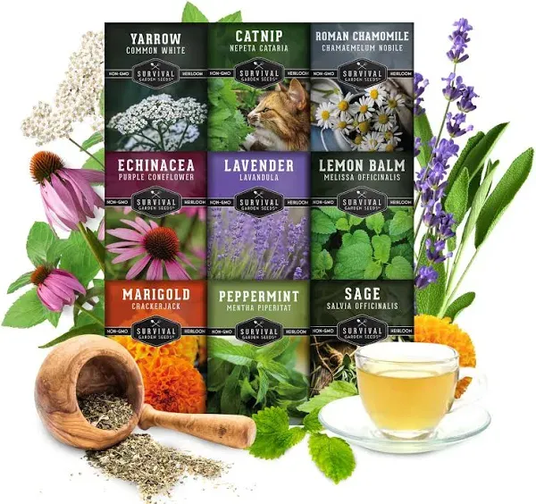 Medicinal Tea Herb Seeds Collection