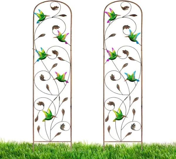 LEWIS&WAYNE 2 Pack Metal Garden Trellis with Colorful Hummingbird 60 Inch High Outdoor Decoration Arched Fence Trellis for Climbing Plants for Patio, Lawn, Yard, Backyard, Wall Brackets