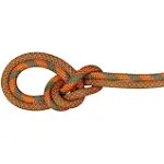 Mammut - 9.5 Crag Dry Rope | Outdoor Gear Exchange