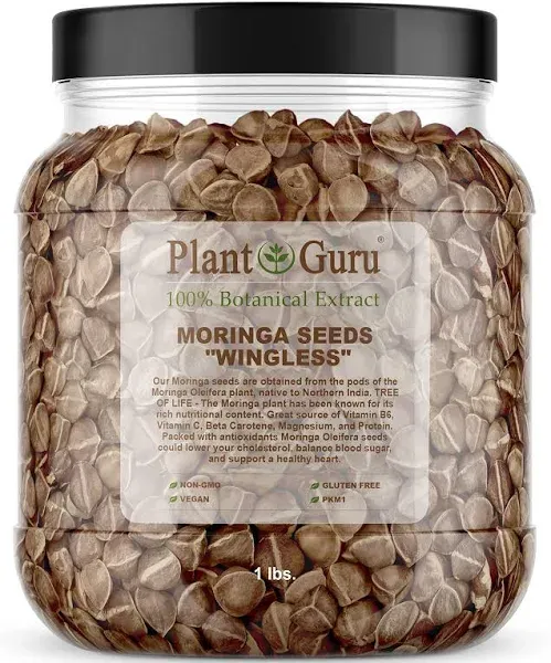 Moringa Seeds Wingless 1 lb Jar - Rich in Vitamins & Protein, Non-GMO - 1600-2000 Seeds