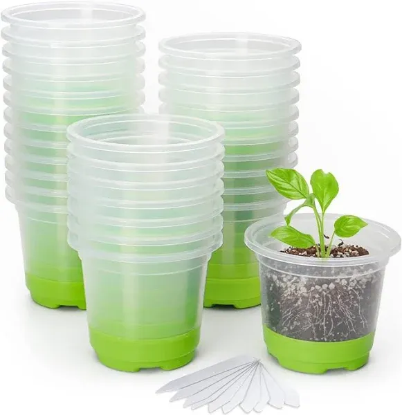  30 Packs 4&#034; Reinforced Clear Nursery Pots with Silicone Base for 4 Inch Green