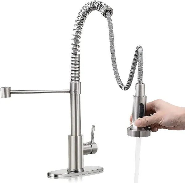 HGN Kitchen Faucet with Pull Down Sprayer