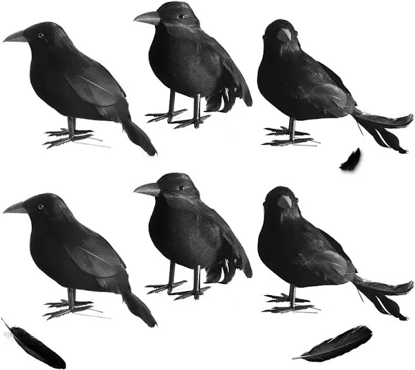 yumhum 6 Packs Real Feathered Halloween Black Crows Handmade Realistic Crow w...