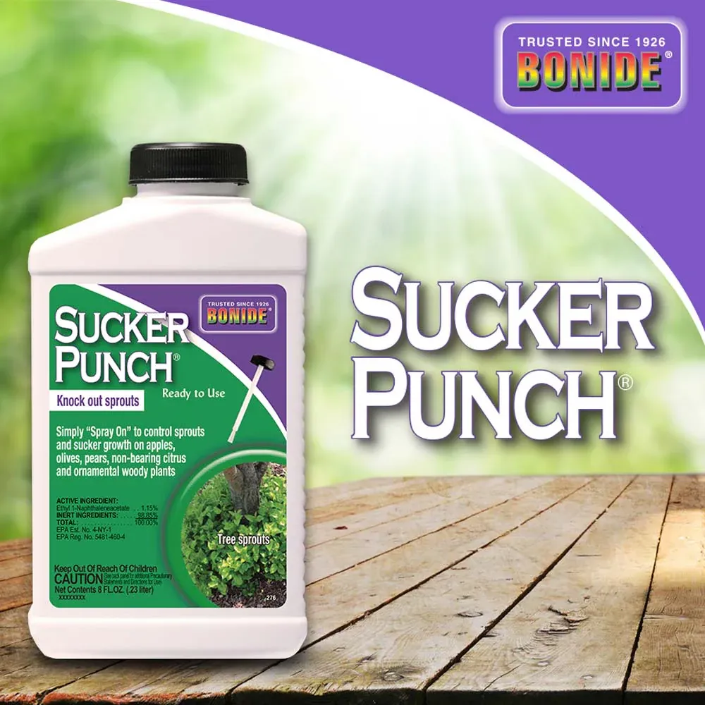 Bonide Sucker Punch Ready-to-Use 8 oz.