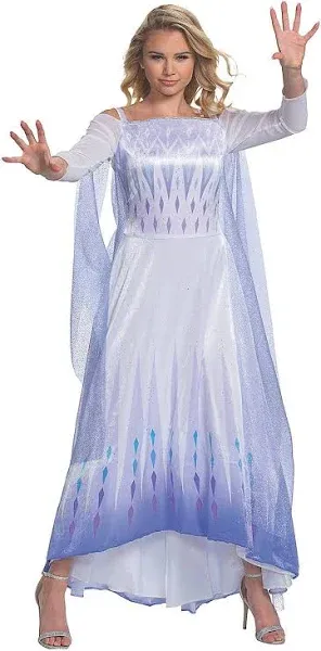 Disney Frozen Snow Queen Elsa Deluxe Adult Costume