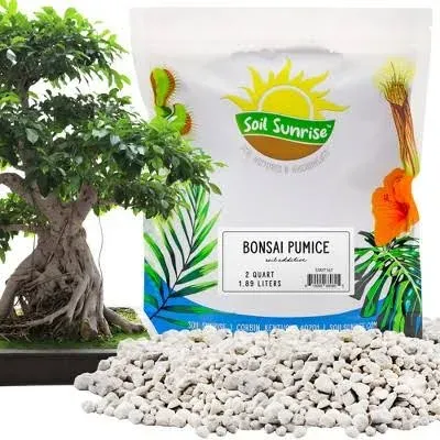 Horticultural Bonsai Pumice Soil Additive Ideal Substrate for Bonsai Trees, Cactus and Succulents