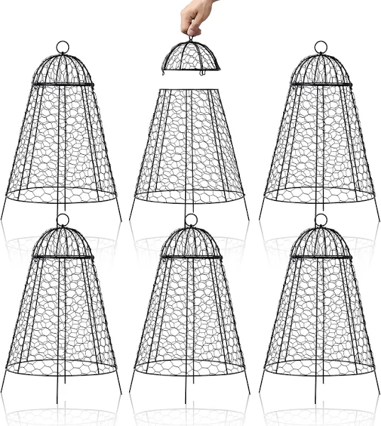 Garden Cloches for Plants Pack of 6 Chicken Wire Cloche Rustproof and Finer M...