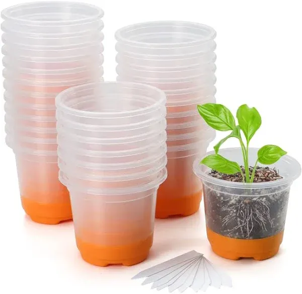 MIXC 30 Packs 4" Reinforced Clear Nursery Pots