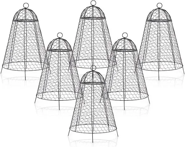 boldworks Garden Cloches for Plants Chicken Wire Cloche Plant Protector Pack ...