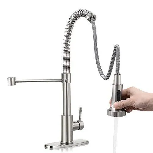 HGN Kitchen Faucet with Pull Down Sprayer