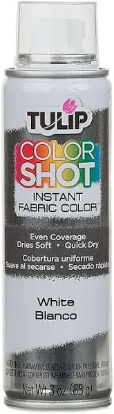 Tulip ColorShot Instant Fabric Spray Color 3oz. White