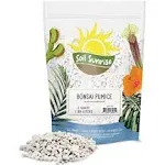 Horticultural Bonsai Pumice Soil Amendment, Ideal Substrate for Bonsai Trees, Cactus and Succulents 2 Quarts