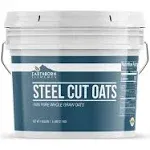 Earthborn Elements Steel Cut Oats 1 Gallon Bucket