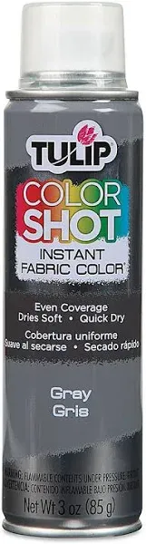 Tulip Color Shot Instant Fabric Color (Gray / Gris) 3 oz. Single Can