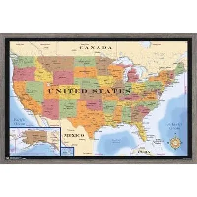 Trends International Map - USA Time Zones Wall Poster, 14.725" x 22.375", Barnwood Framed Version