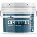 Earthborn Elements Steel Cut Oats 1 Gallon Bucket