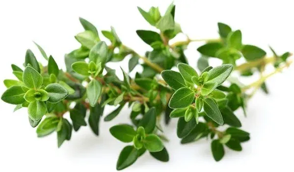 Click & Grow Thyme Plant Pods