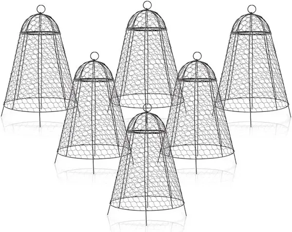 Garden Cloches for Plants Chicken Wire Cloche Plant Protector Pack of 6 Rustp...