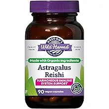 Astragalus Reishi