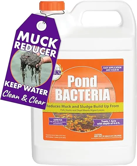 PondWorx Pond Bacteria - Formulated for Large Ponds, Water Features and Safe ...