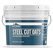 Earthborn Elements Steel Cut Oats (1 Gallon), Also Called Irish Oatmeal, Breakfast, Resealable Bucket