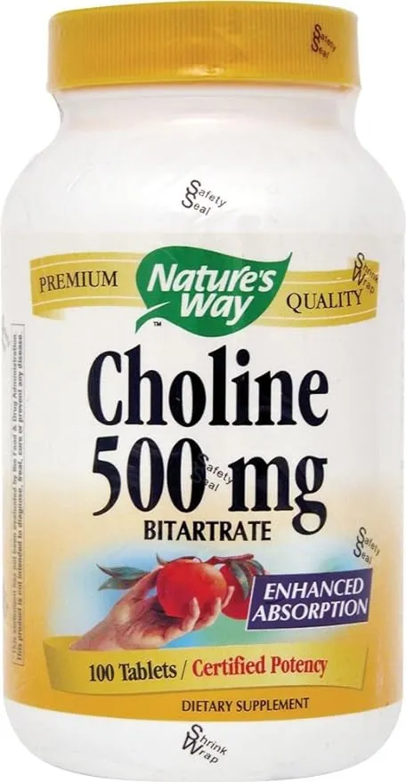 Natures Way 500Mg 100 Tb Choline, 100 CT