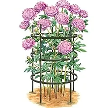 Gardener's Supply Company - Titan Peony Plant Support Stakes - Made with Durable Metal Core and Polyethylene Frame to withstand Weight and Protection from Wild Animals - Large Peony Cage - Set of 2