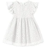 Niyage Toddler Girls Elegant Lace Pom Pom Flutter Sleeve Party Princess Dress ...