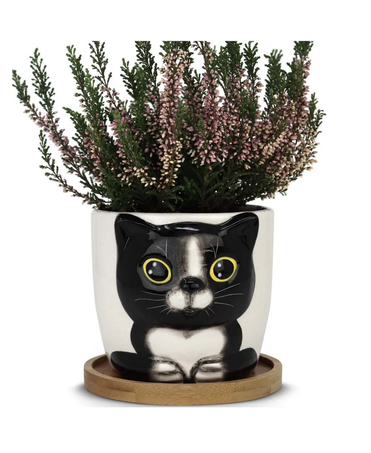 Window Garden Animal Planters - Large Oreo Kitty Pot for Indoor Live Plants, Succulents, Flowers & Herbs