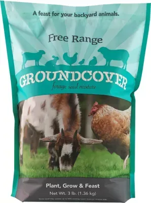 Barenbrug Free Range GroundCover Forage Seed Mixture Ideal for Chickens, Game Birds, Goats, and Sheep, 3 lbs, Blue 