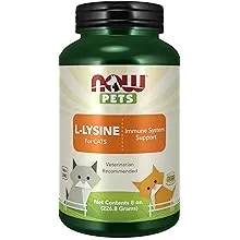 NOW Pets L-Lysine Immune System Support Cat Supplement, 8-oz jar