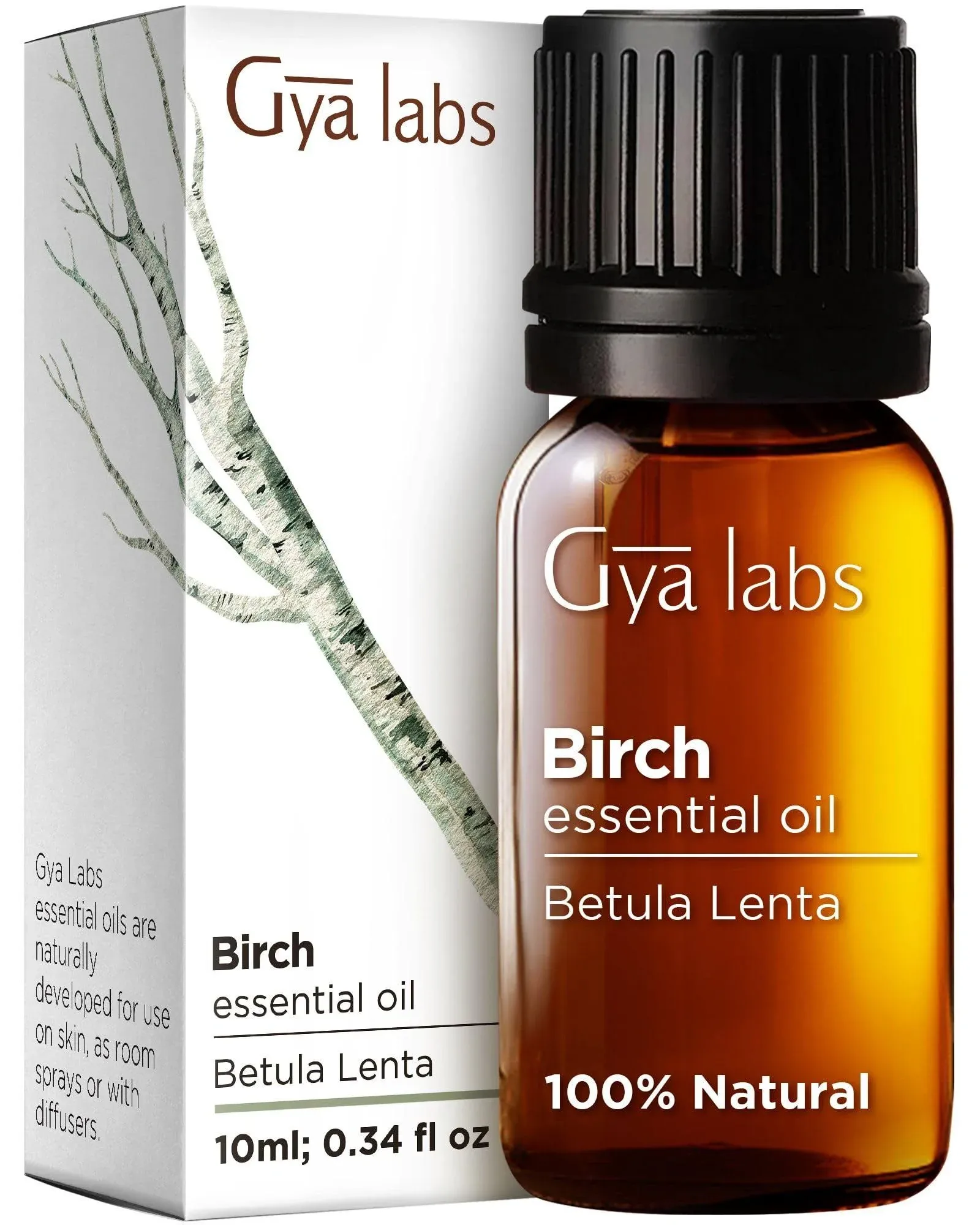 Gya Labs Birch Essential Oil Diffuser - Birch Oil for Skin - Essential Oil Birch for Massage Scents Perfumes Fragrances Candles Making - Sweet Minty & Camphorous Scent - 100% Natural(0.34 Fl Oz)