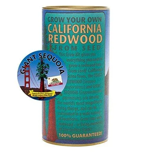 The Jonsteen Company California Redwood Giant Sequoia Tree Seed Grow Kit