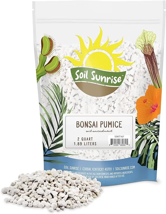 Horticultural Bonsai Pumice Soil Amendment (2 LB), for Bonsai and Cactus Indo...