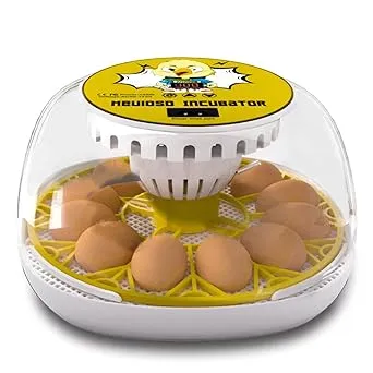 Meuiosd Egg Incubator for Hatching Chicks 12-24 Egg Incubators with Auto Turning