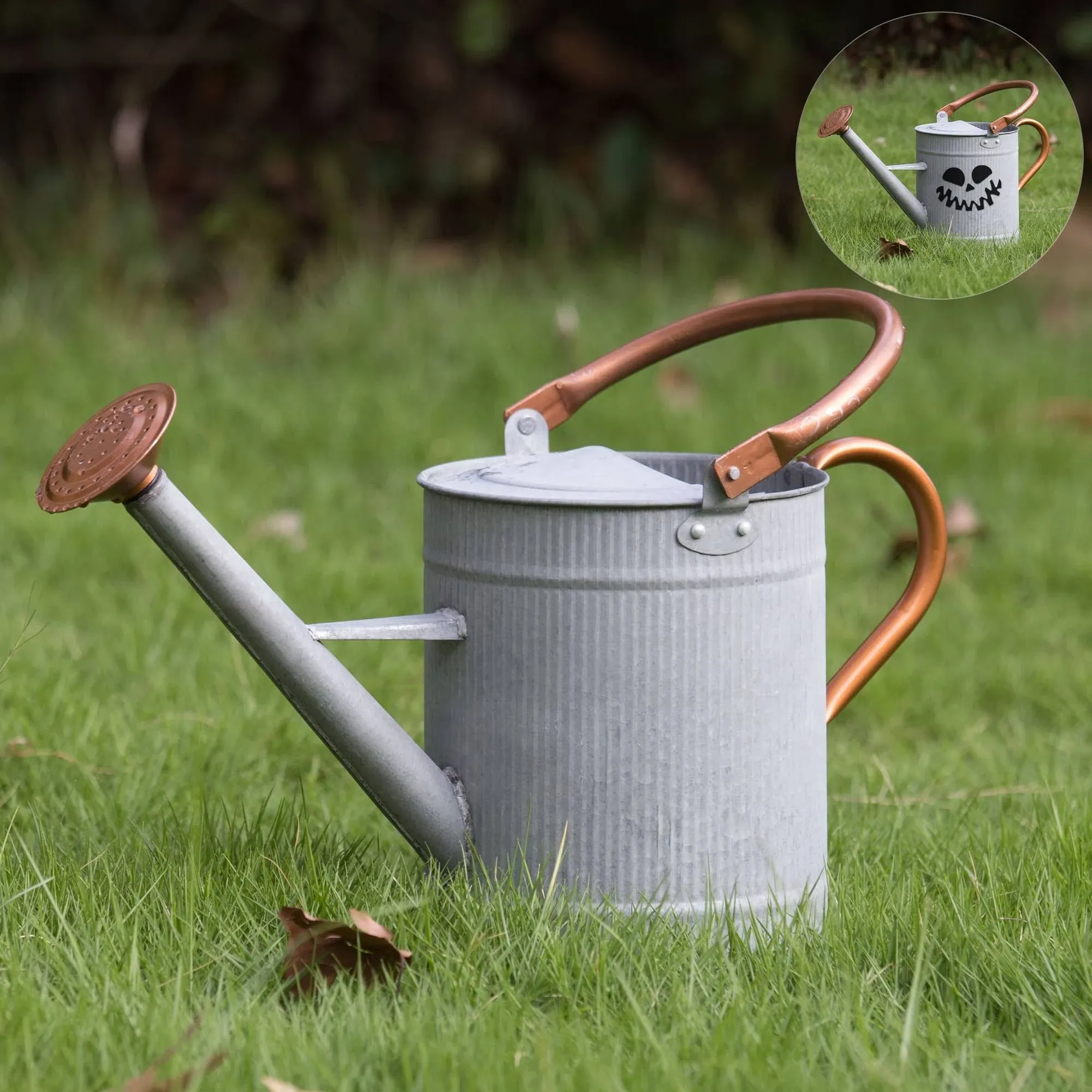 HORTICAN 1 Gal Galvanized Steel Watering Can Decorative Farmhouse Style Watering Can, Removable Rosette-Diffuser, Perfect for Indoor and Outdoor Use