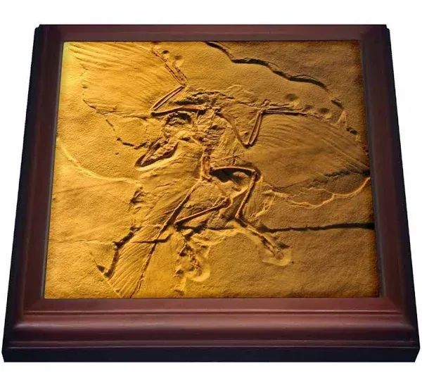 3dRose Archaeopteryx from the Jurasic Germany 8x8 Trivet with 6x6 ceramic tile