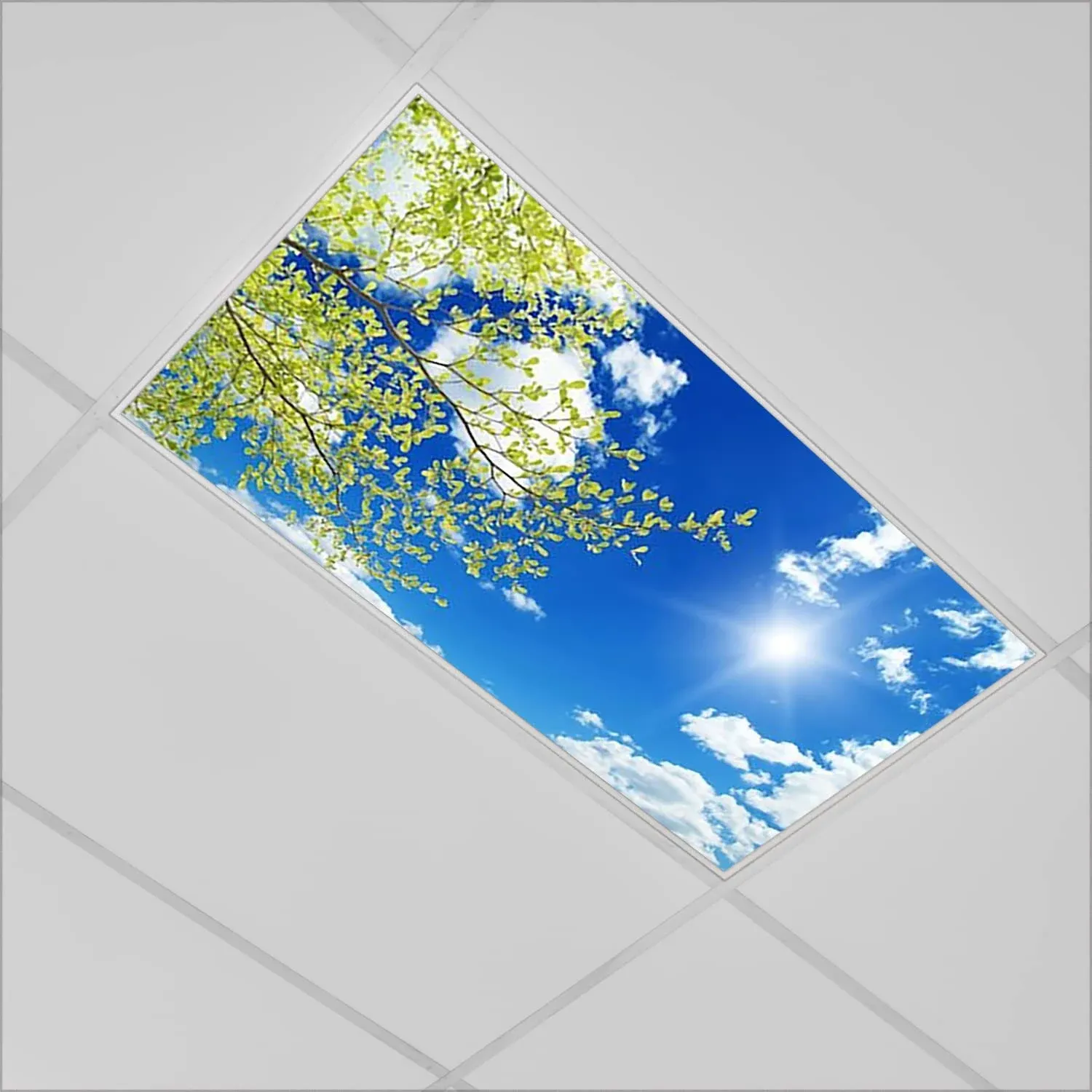 Fluorescent Light Covers for Classroom Office Decorations-Ceiling Sky and Clouds-Enhance Mood and Reduce Stress-Easy to Install Fluorescent Light Diffuser-2'x4'