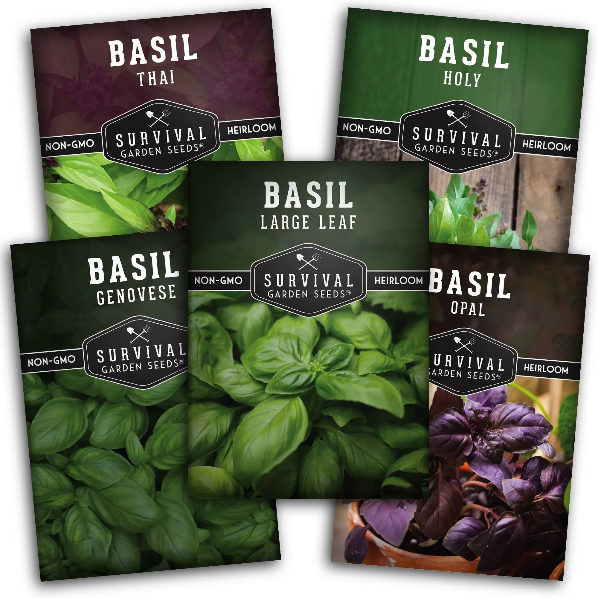 Basil Seed Collection - 5 Different Basils