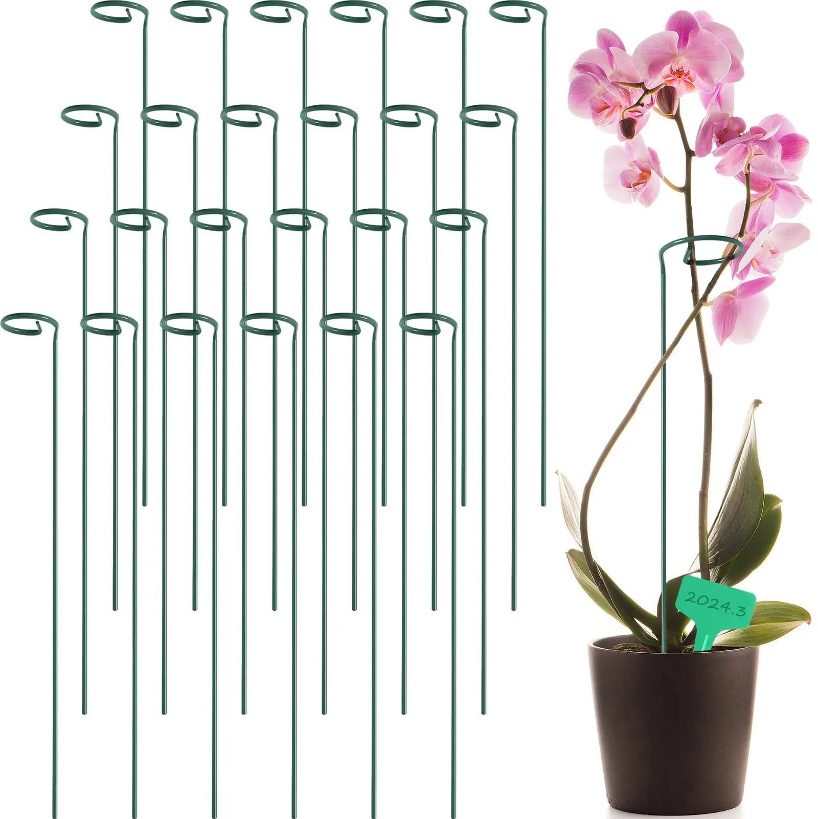 GROWNEER 24 Packs 36 Inches Garden Flower Support Plant Support Stakes, with 15 Pcs Plant Labels, Single Plant Stem Flower Support for Flowers, Orchid, Peony, Lily, Rose