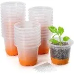 MIXC 30 Packs 4" Reinforced Clear Nursery Plant Pots