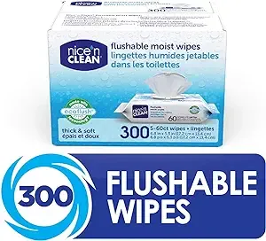 Nice 'N Clean Flushable Wet Wipes, 5 Packs of 60 Wipes, 300 Total Wipes