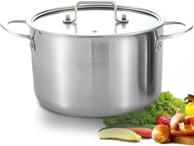 Tri-Ply Stainless Steel 5 QT Stock Pot with Lid