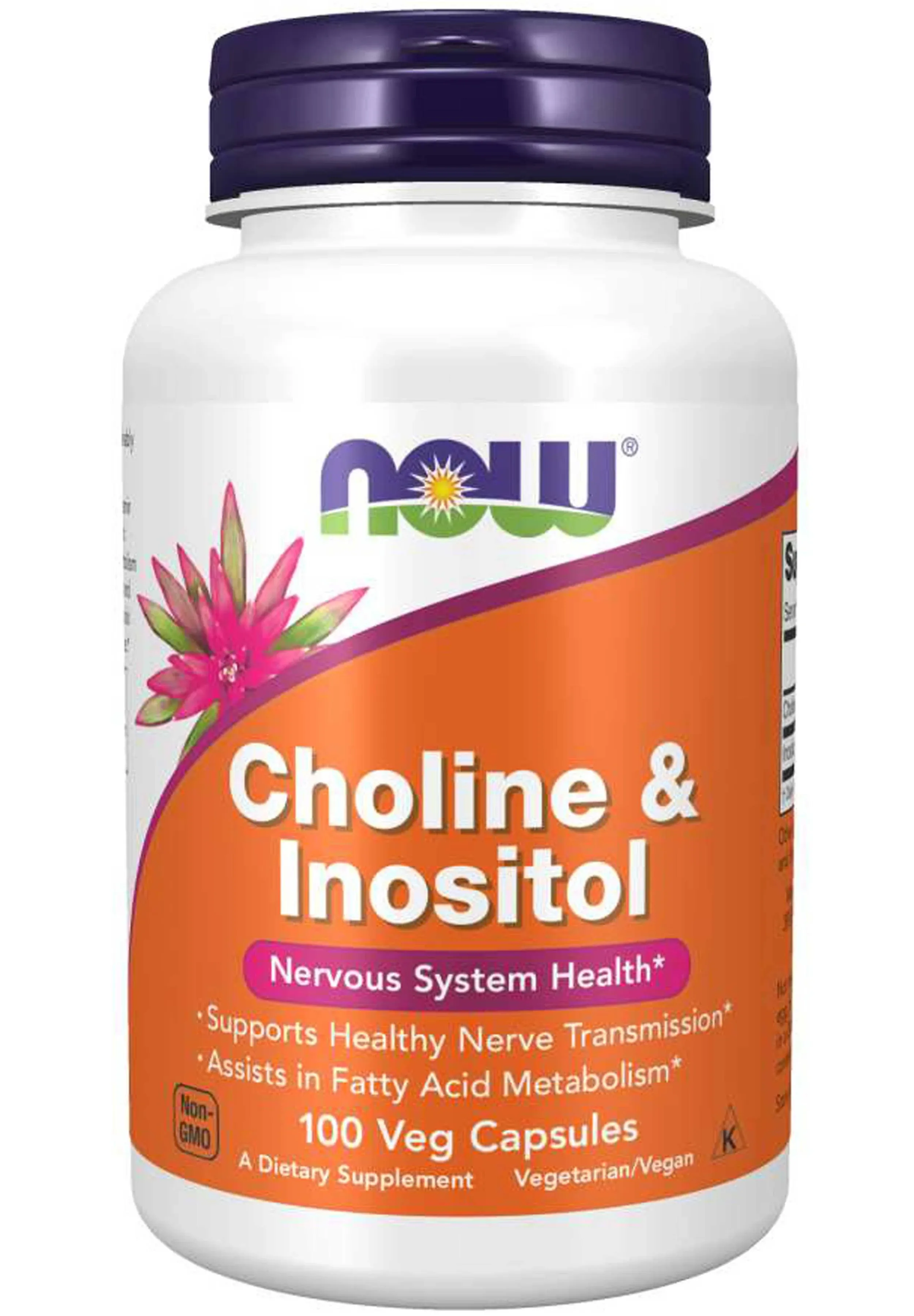 Now Choline & Inositol