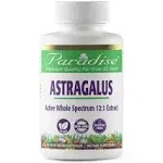 Paradise Herbs - Astragalus - 120 Vegetarian Capsules