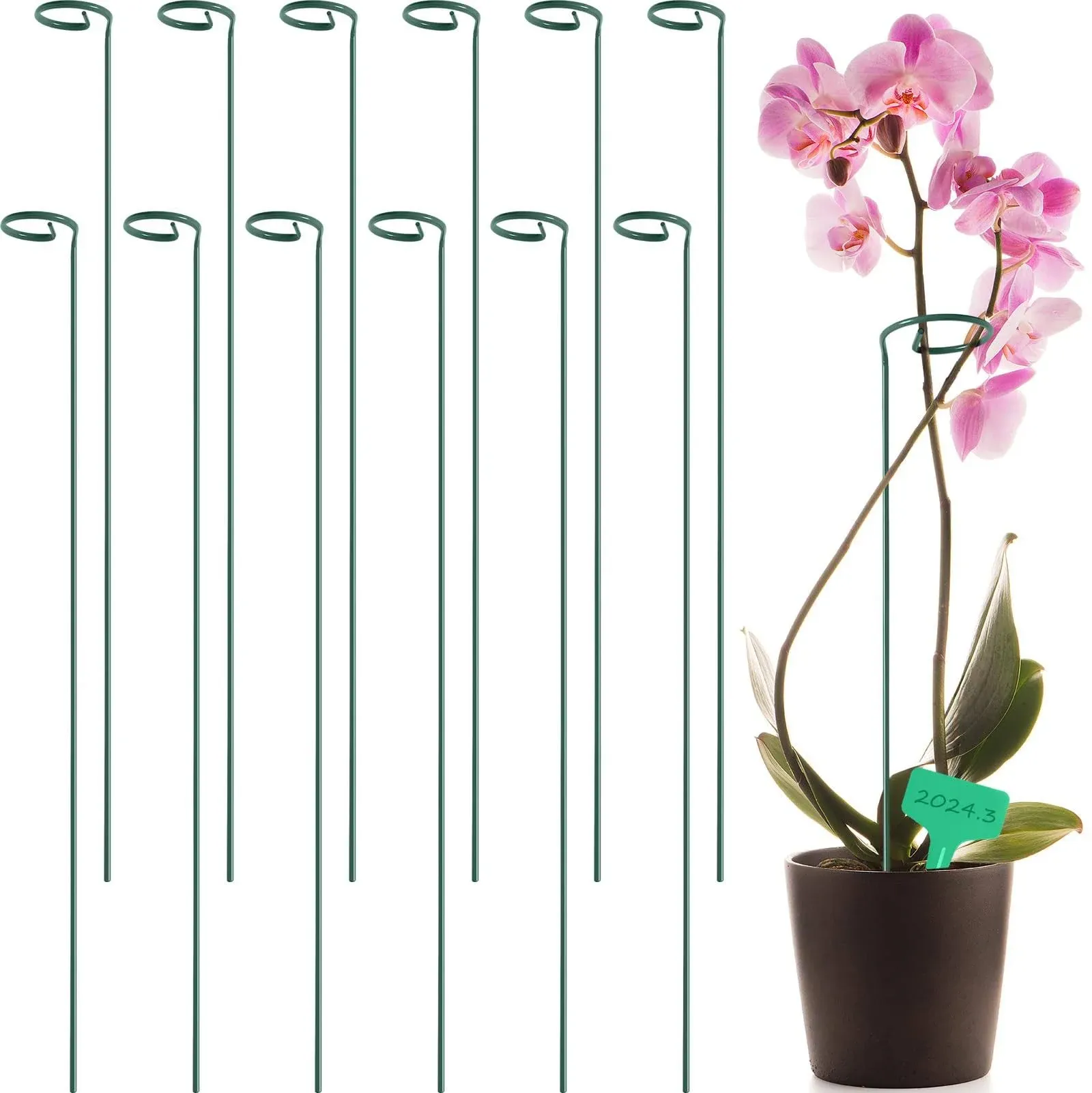 GROWNEER 24 Packs 36 Inches Garden Flower Support Plant Support Stakes, with 15 Pcs Plant Labels, Single Plant Stem Flower Support for Flowers, Orchid, Peony, Lily, Rose