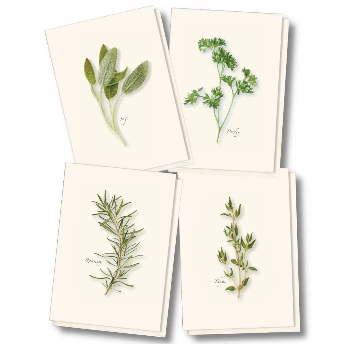 Earth Sky + Water - Herb Assortment Notecard Set - 8 Blank Cards with Envelopes ...