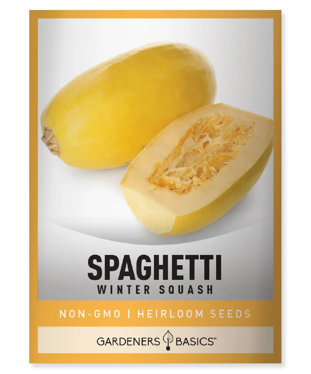 Spaghetti Winter Squash Seeds