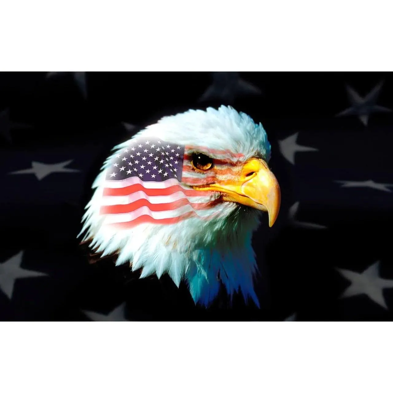 Flagsource Patriotic Eagle Nylon Decorative Flag Made in The USA 3x5'