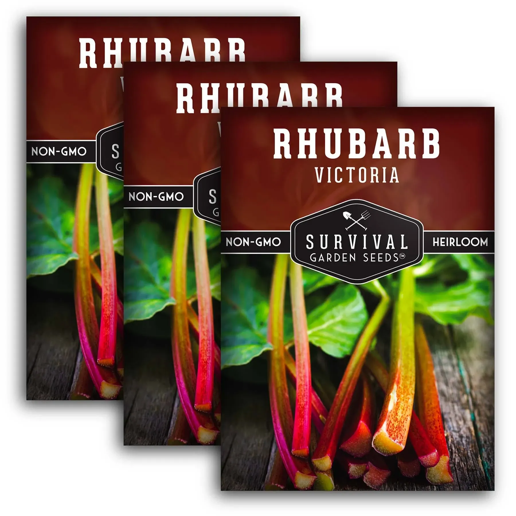 Victoria Rhubarb Seeds for Planting 3 Packets